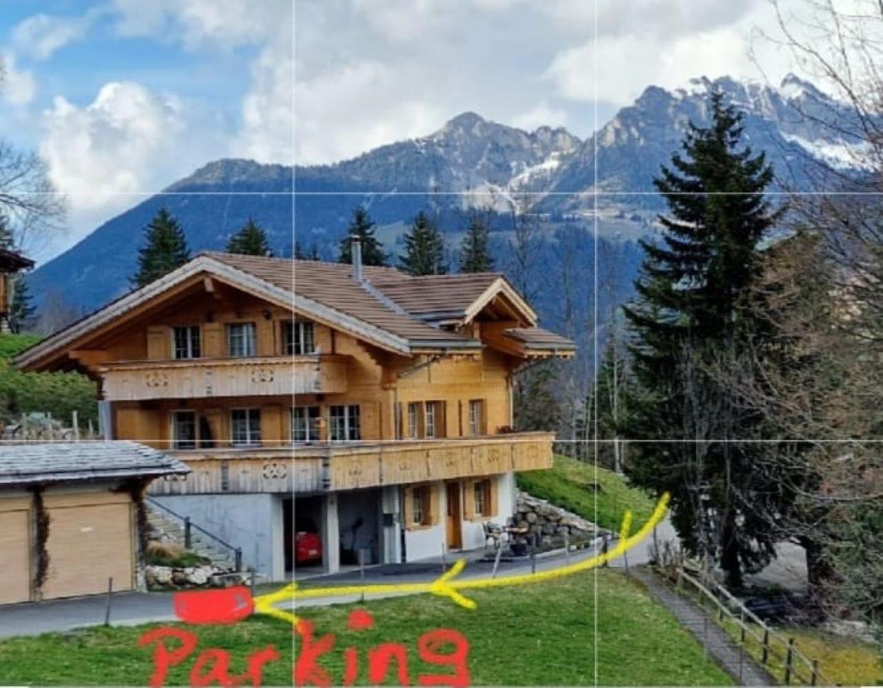 Large Deluxe Studio For 2 - Chalet Lovo Lenk Exterior photo
