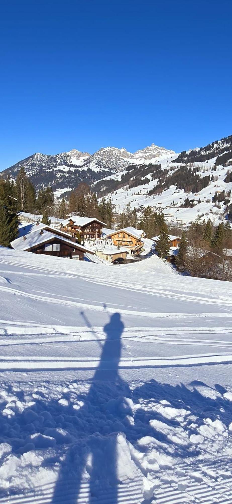Large Deluxe Studio For 2 - Chalet Lovo Lenk Exterior photo